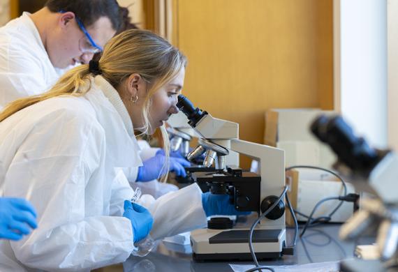 Image of a student looking into a microscope.